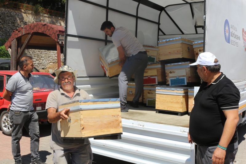 Antalya'da Arıcılara Kovan Desteği: Gündoğmuş ve İbradı'da 74 Üreticiye 221 Kovan