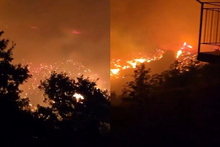 Alanya'da Orman Yangını: 54 Ev Tahliye Edildi, 10 Ev Kül Oldu