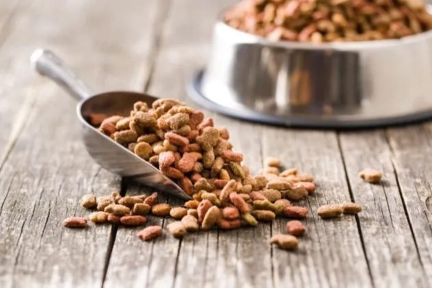 Bilimsel Araştırma: Vegan Köpek ve Kedi Mamaları Yüksek Sindirilebilirliğe Sahip