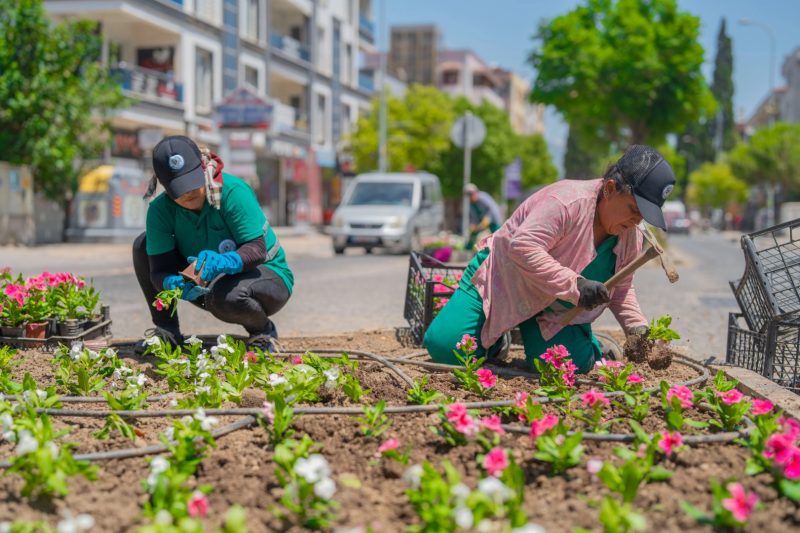 Milas Belediyesi İlçeyi Daha Yeşil Hale Getirmek İçin Kapsamlı Çalışmalar Yürütüyor