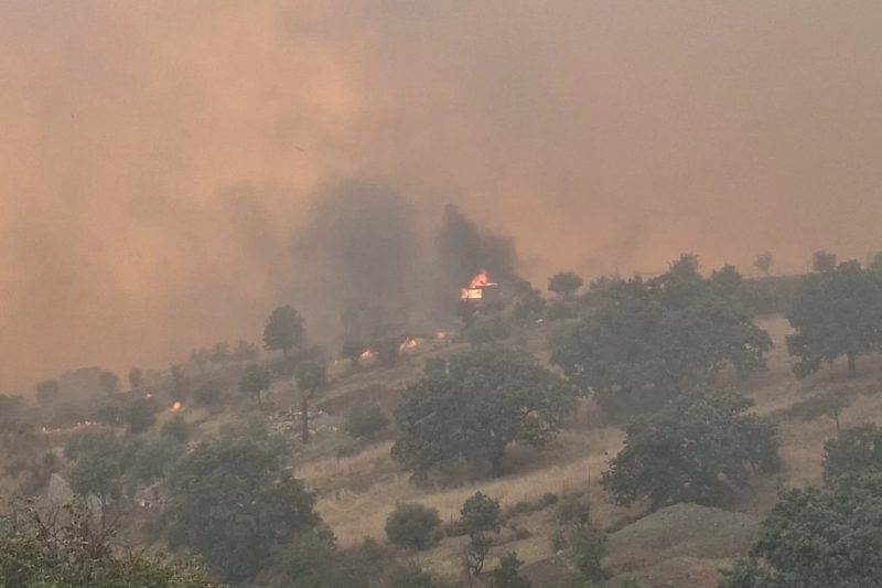 İzmir'in Kuzeyinde Orman Yangını: Bergama'ya Sıçrayan Alevler Kontrol Altına Alınıyor