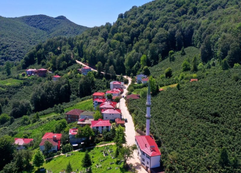Ordu'da Aybastı'ya Beton Yol: Ulaşım Yatırımları Devam Ediyor